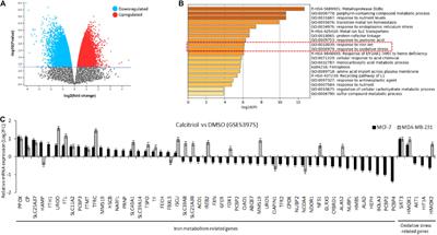 Vitamin D-Mediated Anti-cancer Activity Involves Iron Homeostatic Balance Disruption and Oxidative Stress Induction in Breast Cancer